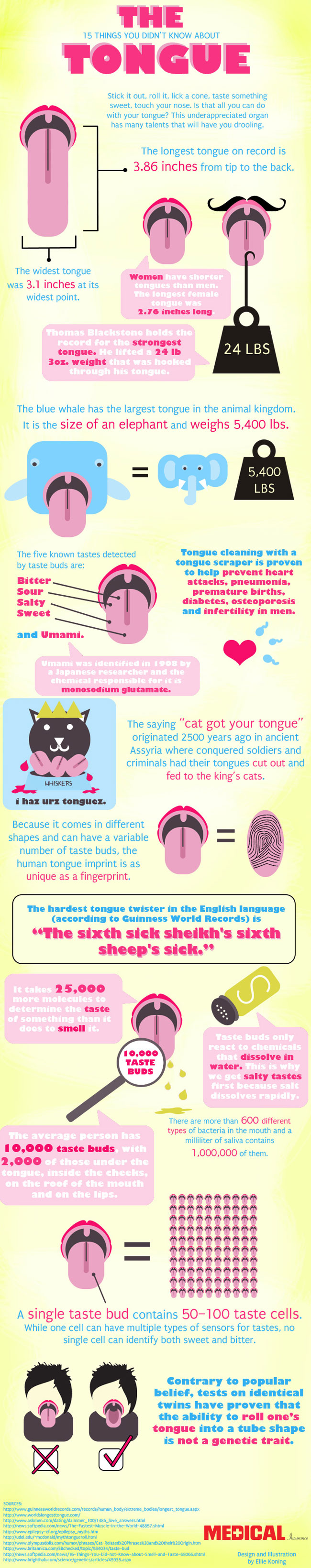 15 Things You Didn't Know About The Tongue infographic about oral, teeth, mouth