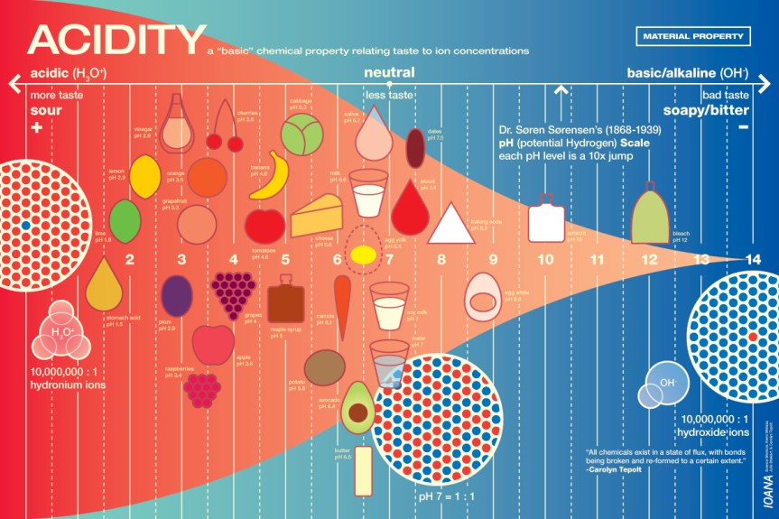 Acidity infographic about food, science, infographic