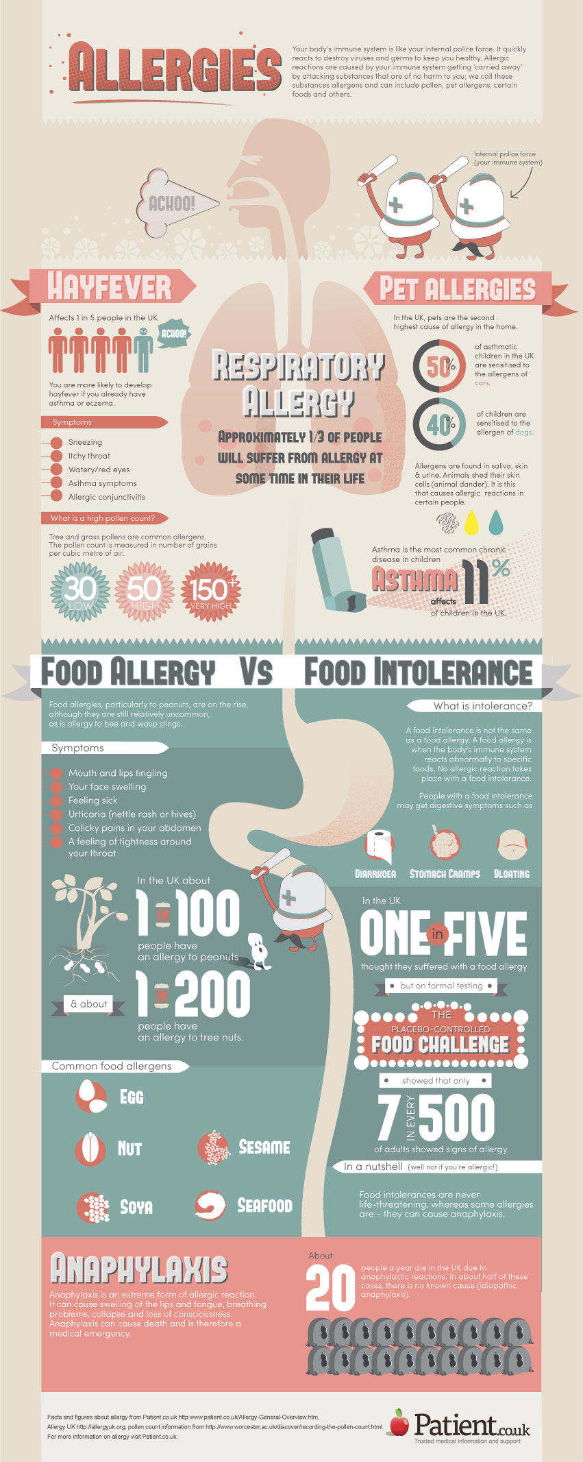 Allergies infographic about allergy, allergens in your home, allergic reaction