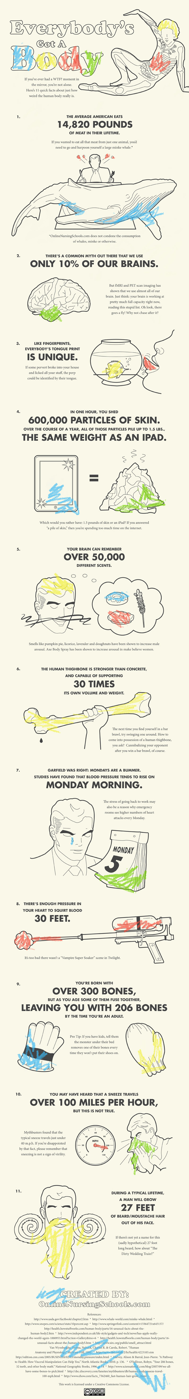 Amazing Facts About The Human Body infographic about facts, human body