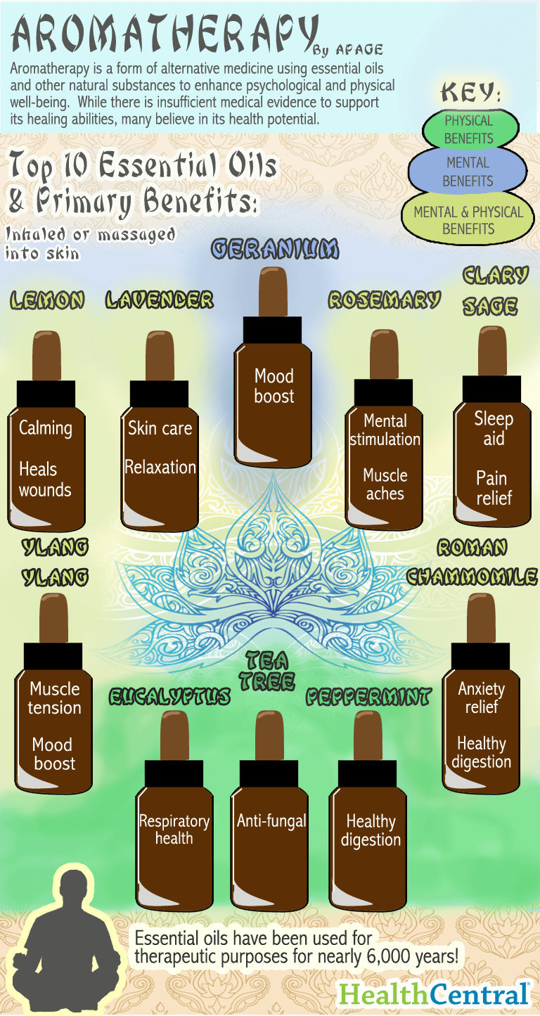 Aromatherapy Infographic infographic about infographic