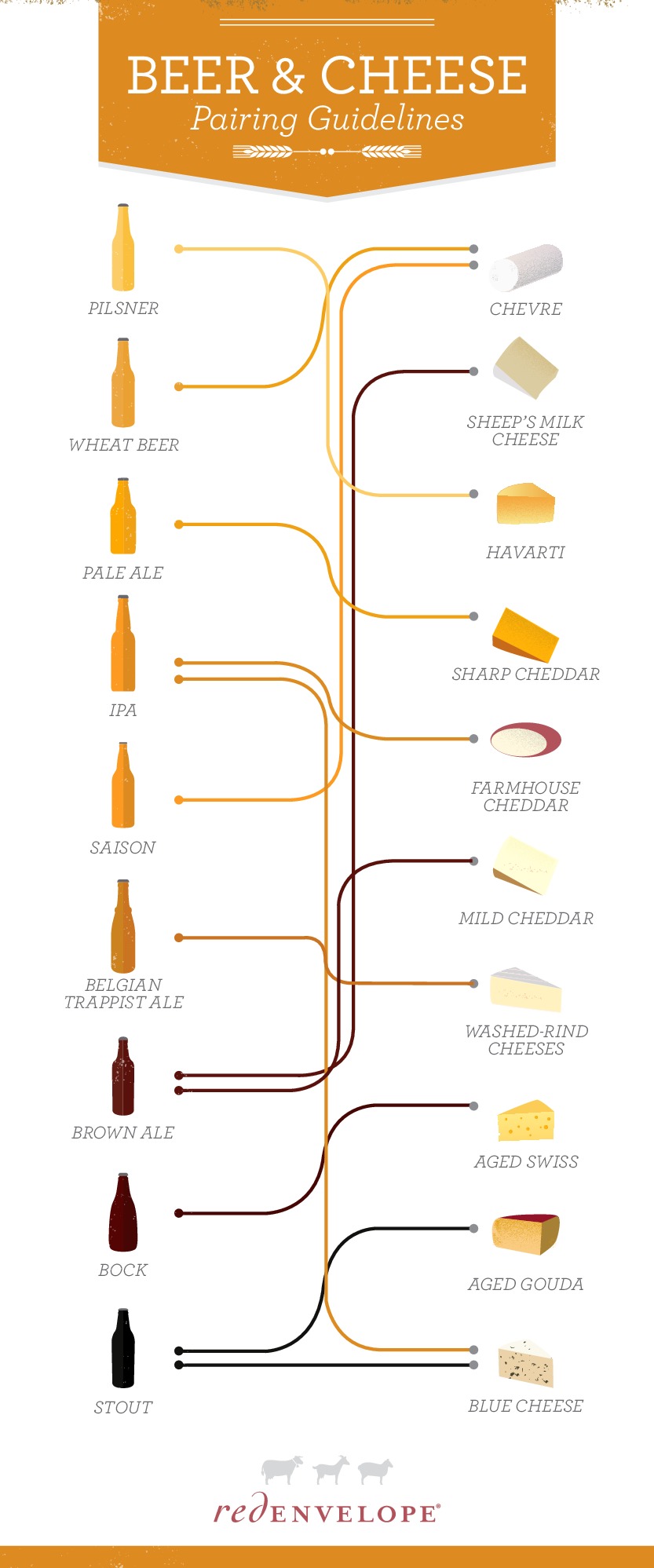 Beer and Cheese Pairing Guide infographic about beer, cheese, food