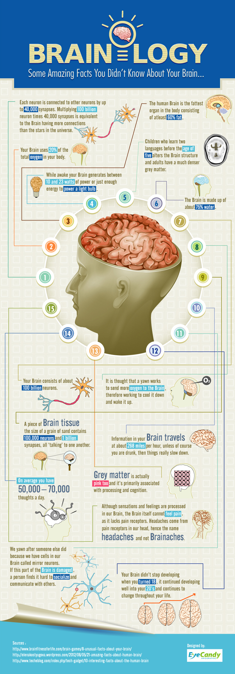 Brainology -Some Amazing Facts you didn't Know About your Brain infographic about 