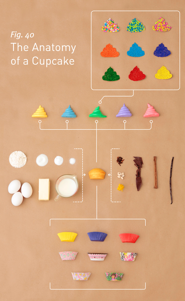 Cupcake Anatomy infographic about cupcake, cupcake components, cupcake anatomy, how to make a cupcake, dessert, recipe