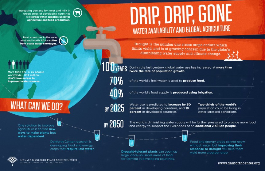 Water Availability and its Impact on Global Agriculture infographic about water, drought, crops