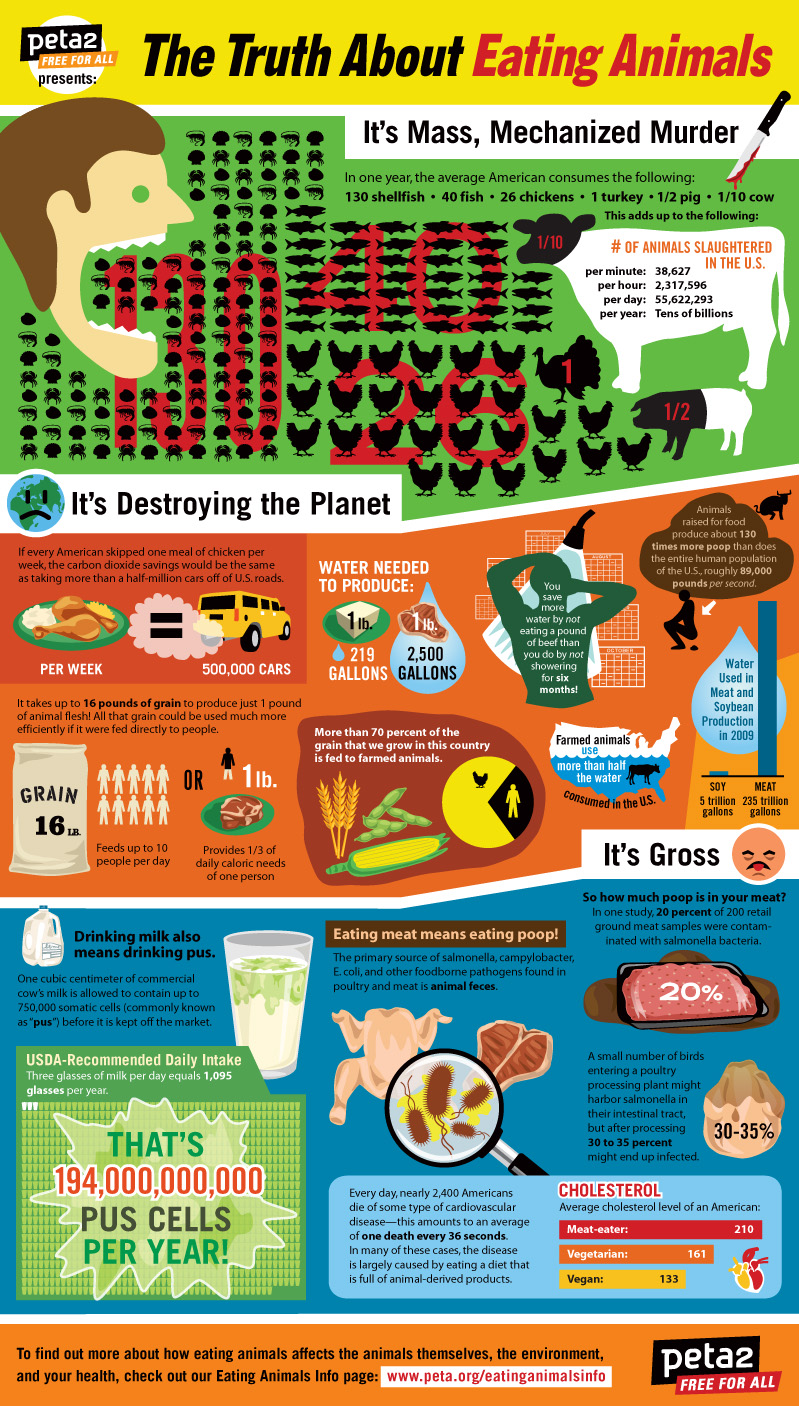 Eating Animals: The Facts infographic about meat, vegan, peta, humane, beef