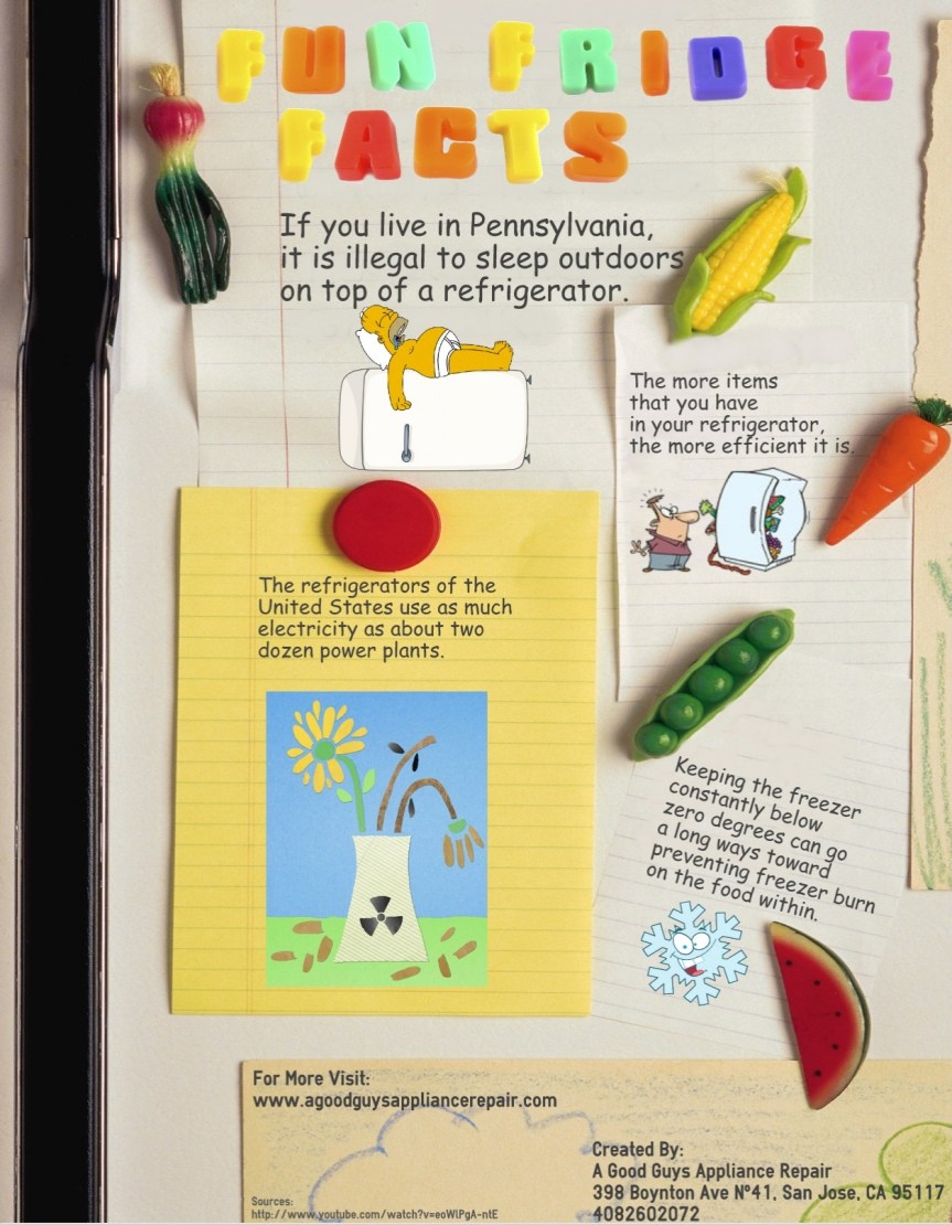 Fun Fridge Facts infographic about appliances, appliance