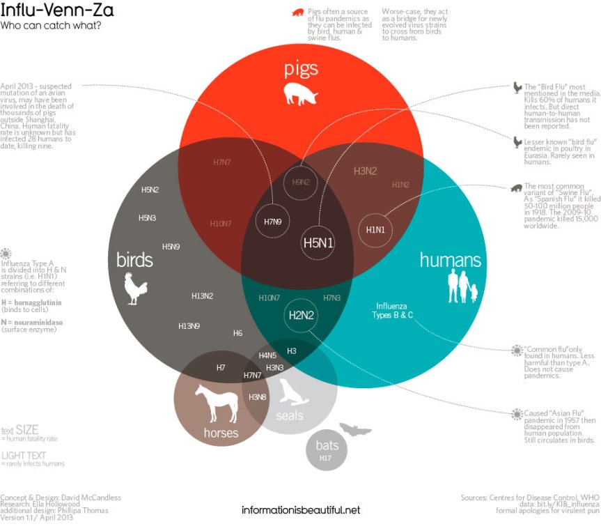 Influ-Venn-Za infographic about flu, animals, people, health