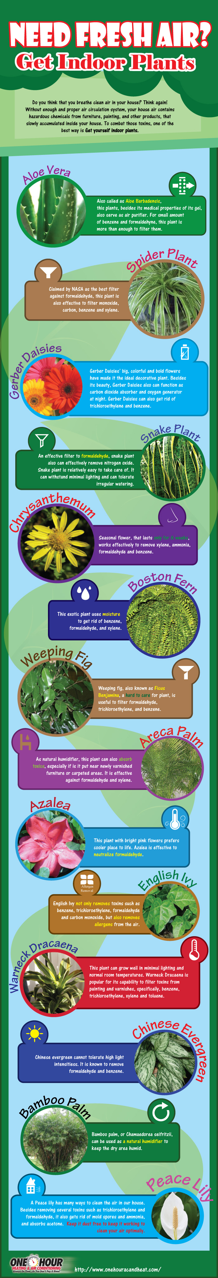 Need Fresh Air? Get Indoor Plants infographic about plants, go green, air quality, environment