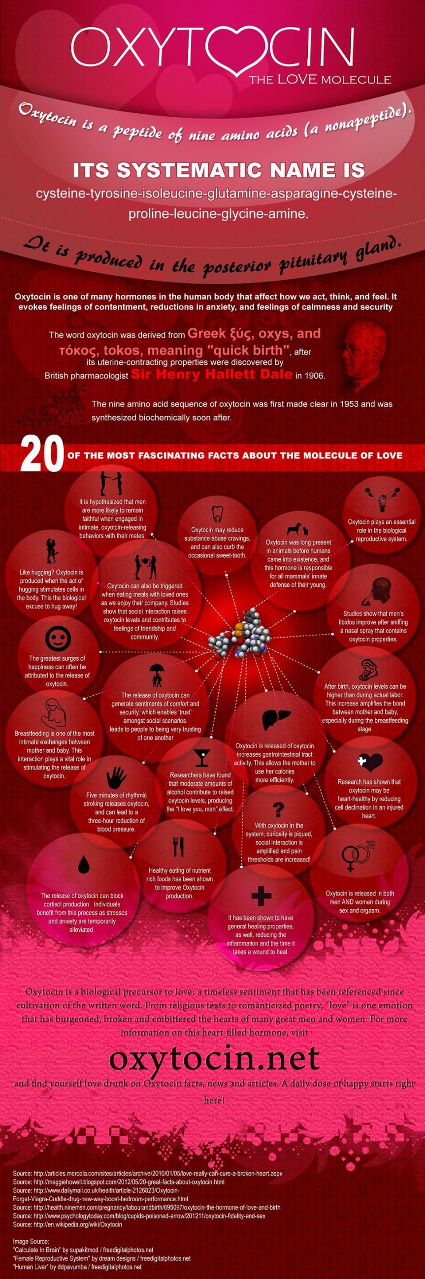 Oxytocin-The love molecule infographic about love