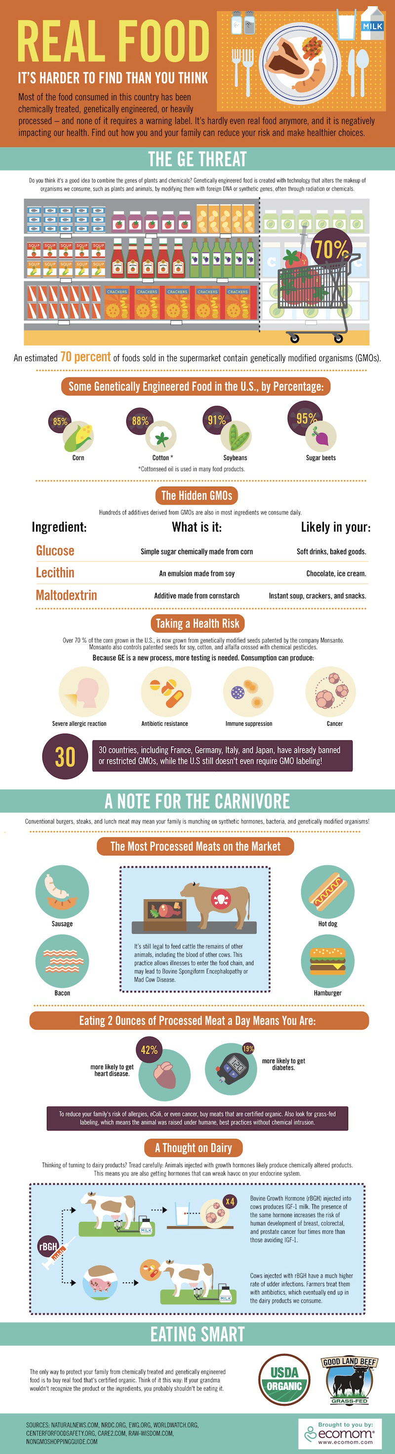 Real Food infographic about food, food, health