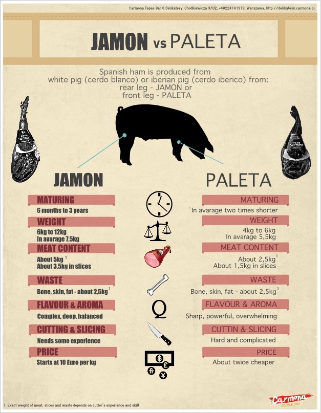 Spanish ham: jamon vs paleta infographic about spain, gourmet, meat