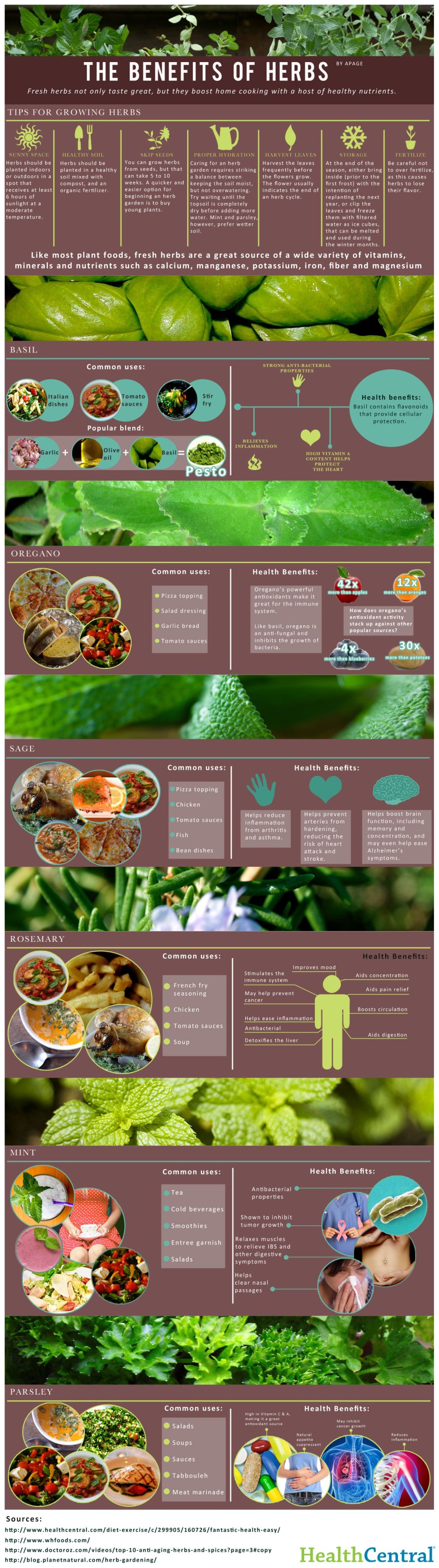 The Benefits of Herbs infographic about herbs, health, food, cooking