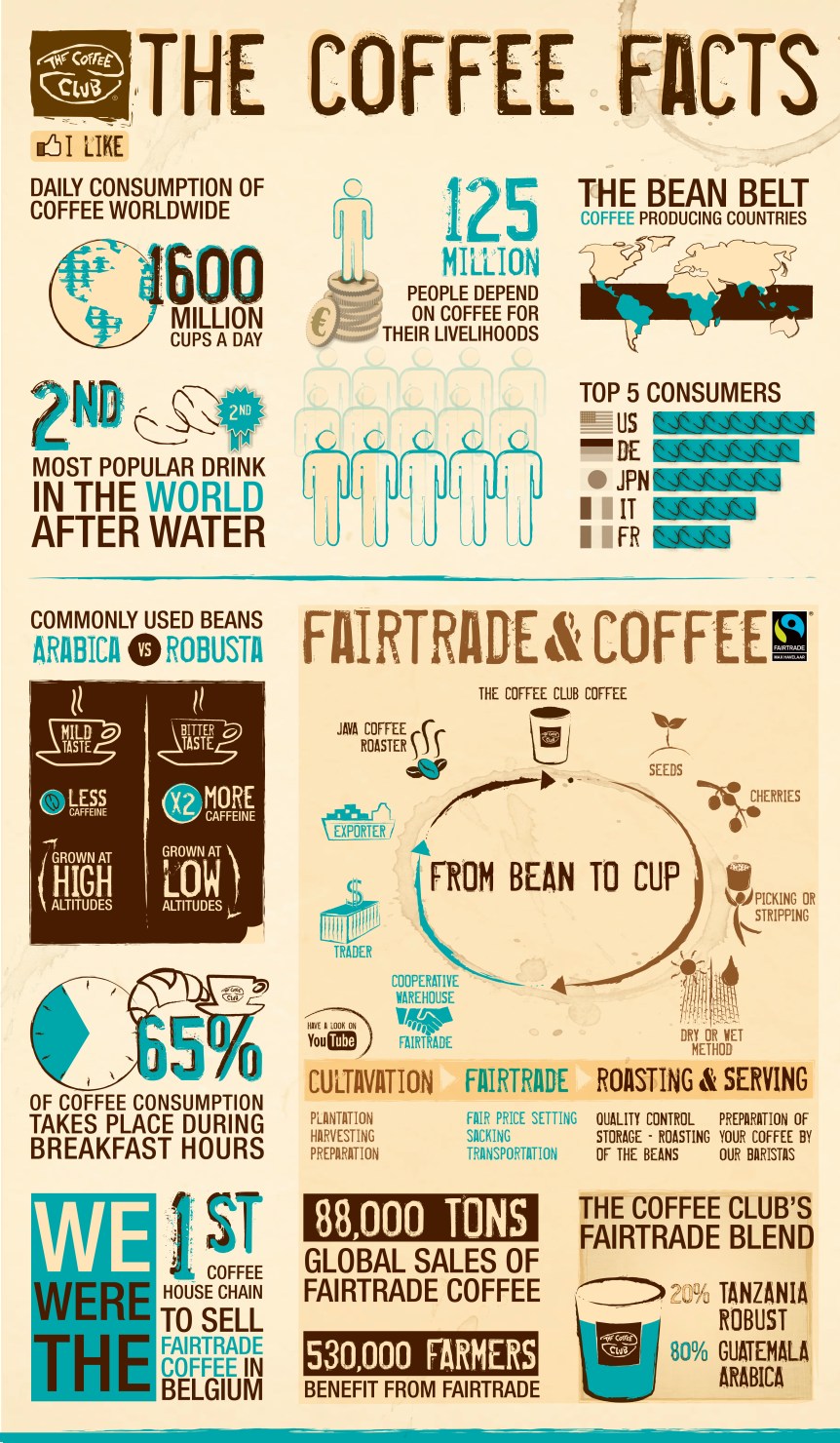 The Coffee Facts by The Coffee Club Belgium infographic about coffee, facts, club, belgium