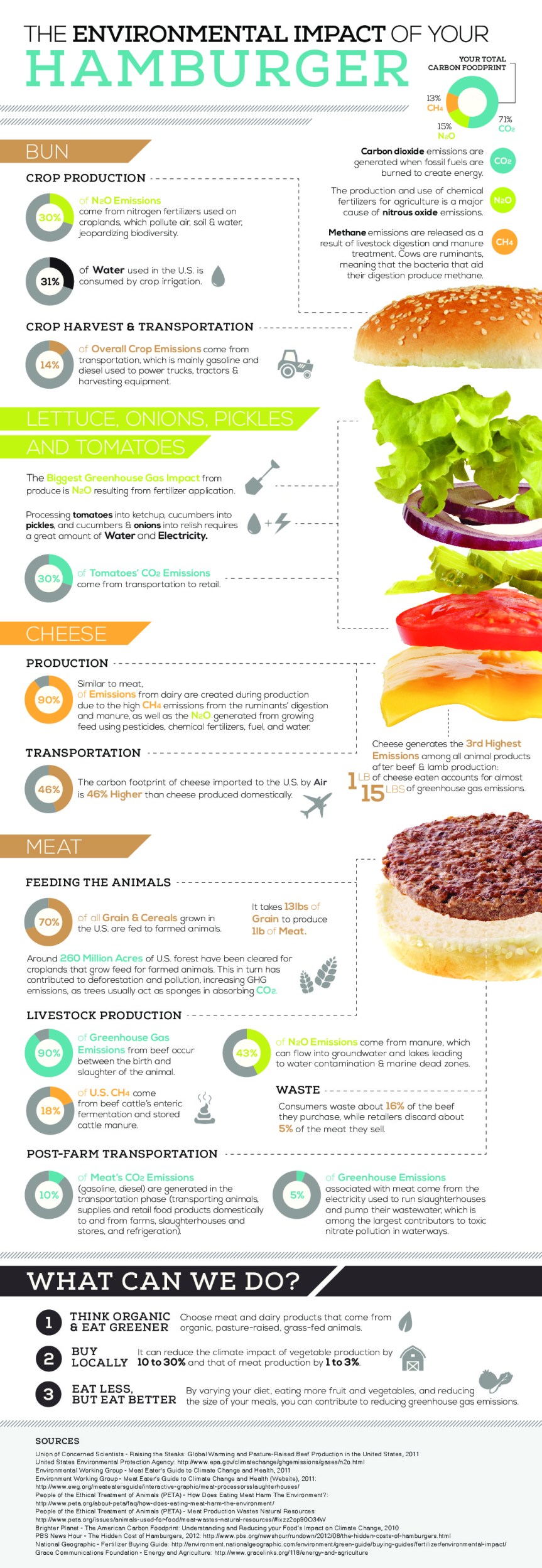 The Environmental Impact Of Your Hamburger infographic about 