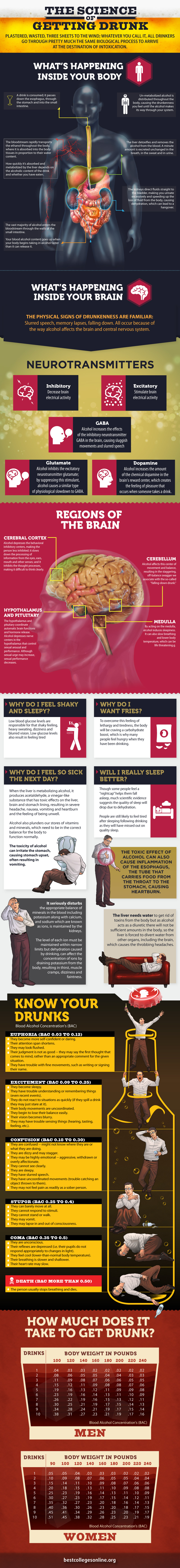 The Science of Getting Drunk infographic about drunk, alcohol, vice, lifestyle, college