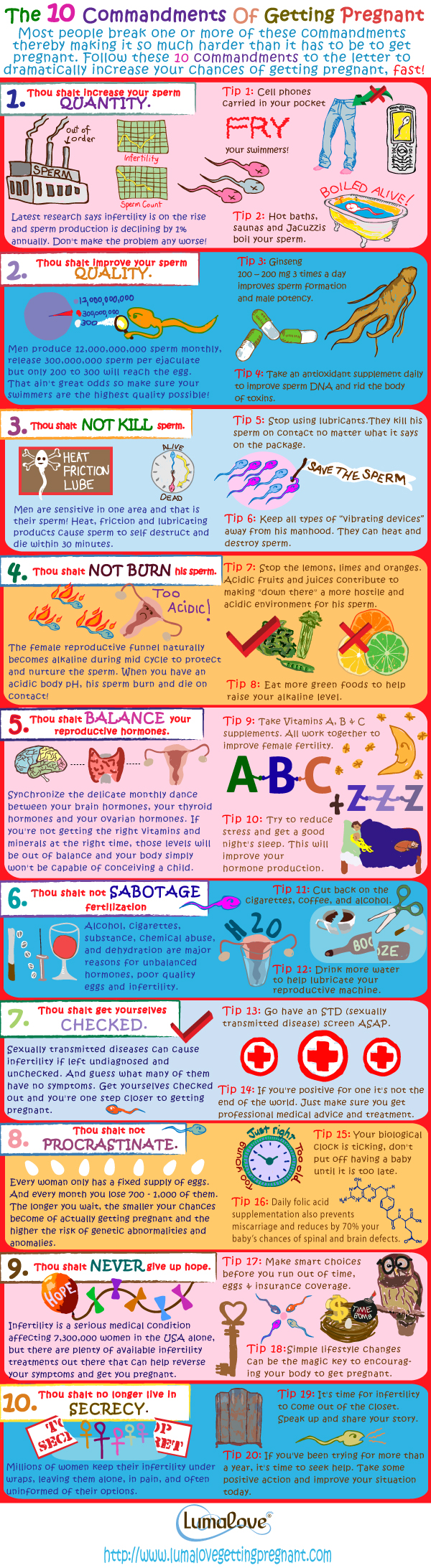 The Ten Commandments of Getting Pregnant infographic about pregnancy, tips
