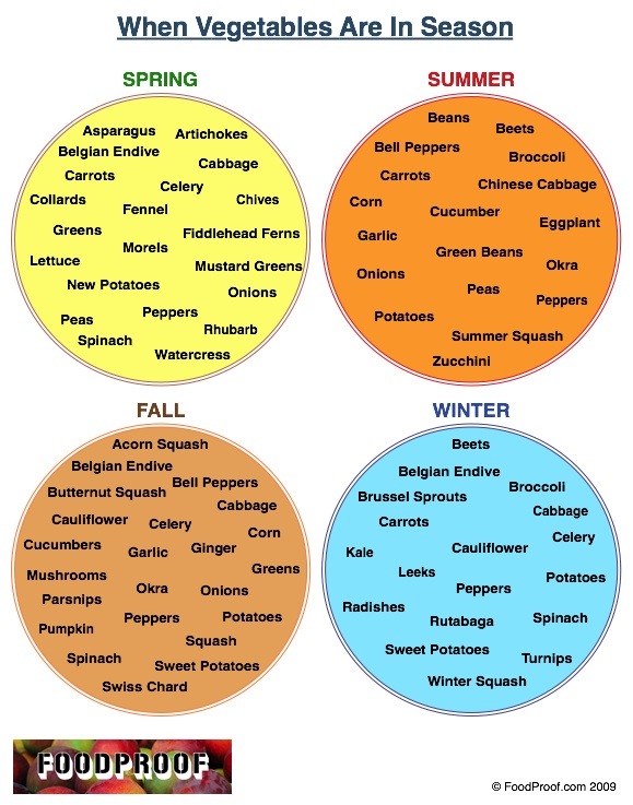 Vegetables: What's in Season? infographic about seasons, crops, harvest, fruits, vegetables