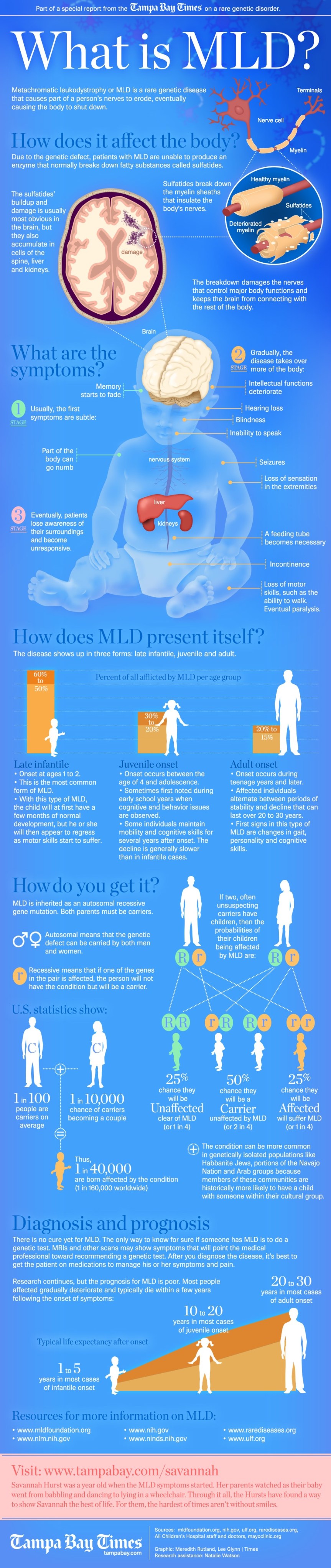 What is MLD? infographic about health, medicine, disease, brain, genetics