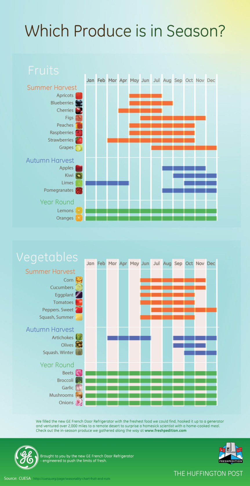 Which Produce is in Season? infographic about season, produce, vegetables