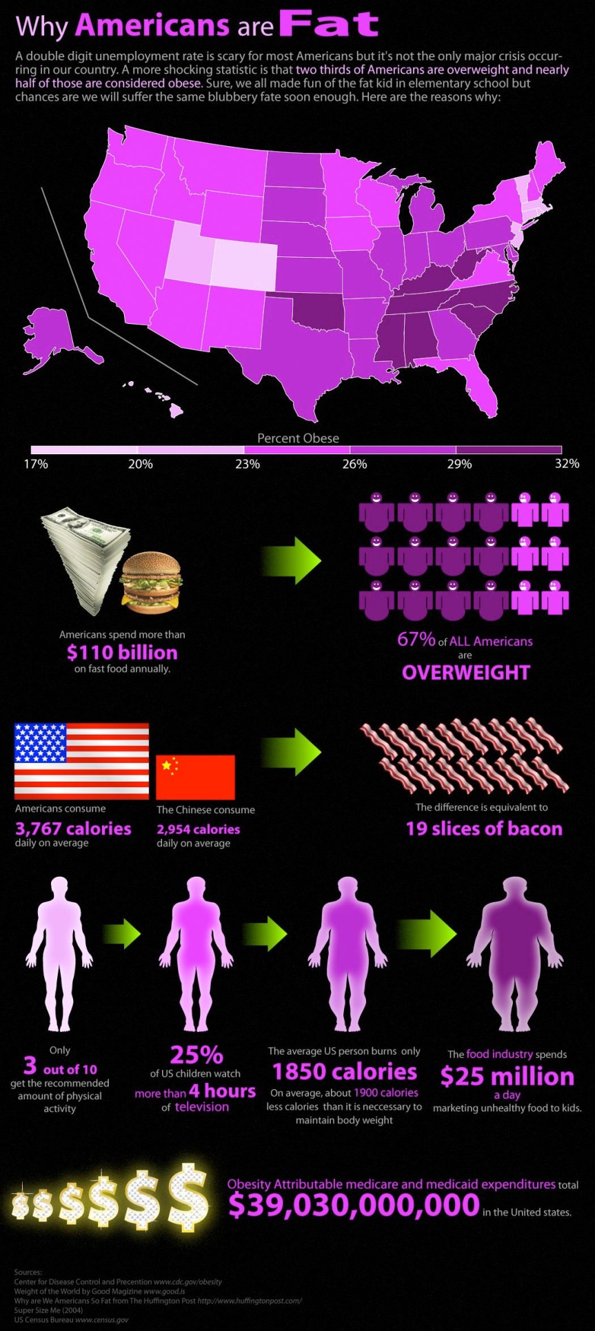 Why Americans are Fat infographic about americans, lifestyle